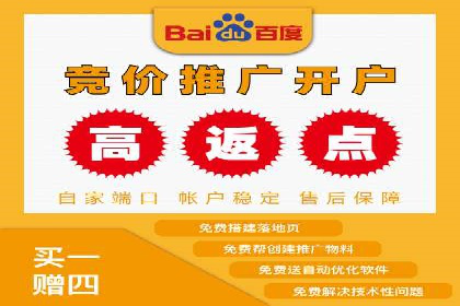 SEO与SEM优化案例：打造行业领先品牌
